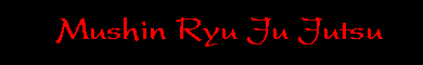 Mushin Ryu Ju-jutsu