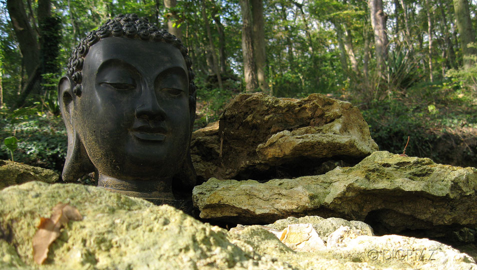 bouddha &icirc;les-f&ocirc;ret